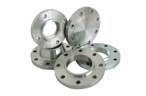 SS 317L Ring Type Joint Flanges